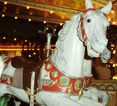 Demeyer horse